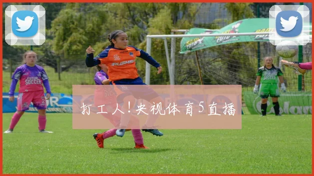 打工人!央视体育5直播
