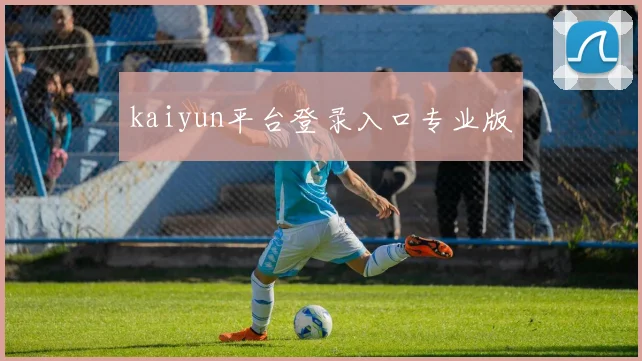 kaiyun平台登录入口专业版