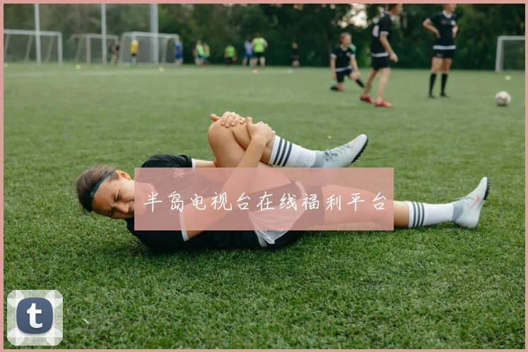 半岛电视台在线福利平台