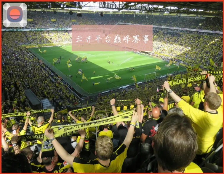 云开平台巅峰赛事