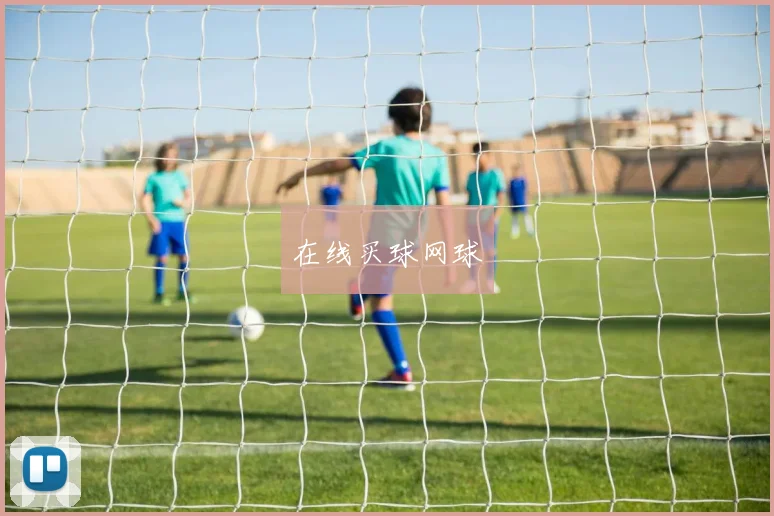 在线买球网球
