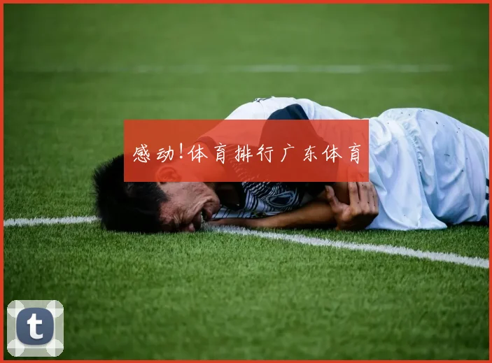 感动!体育排行广东体育