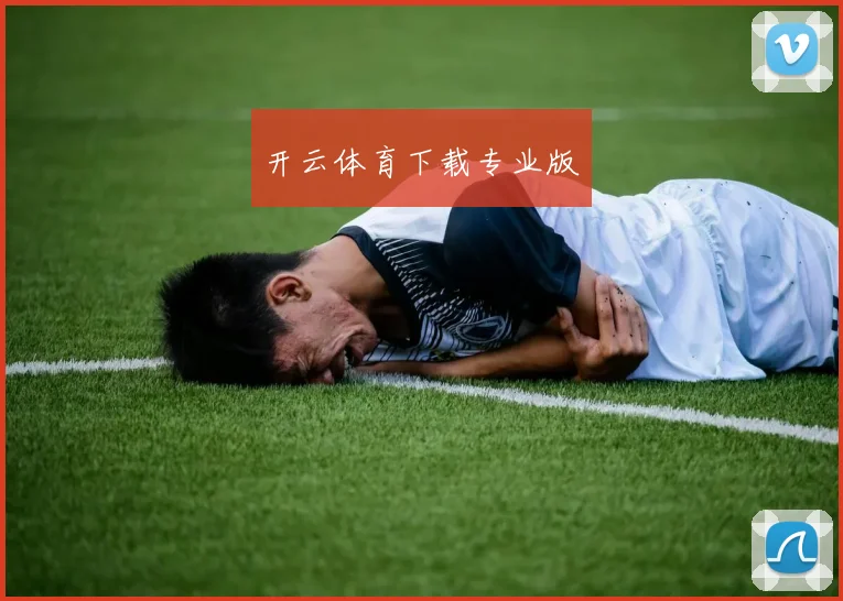 开云体育下载专业版