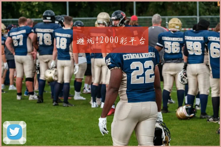 避坑!2000彩平台