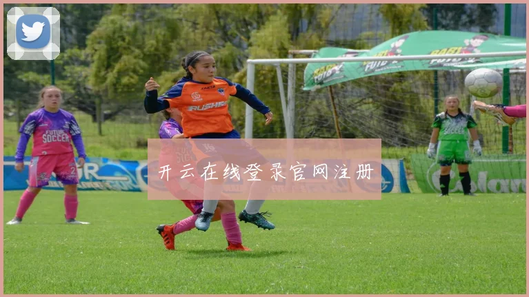 开云在线登录官网注册