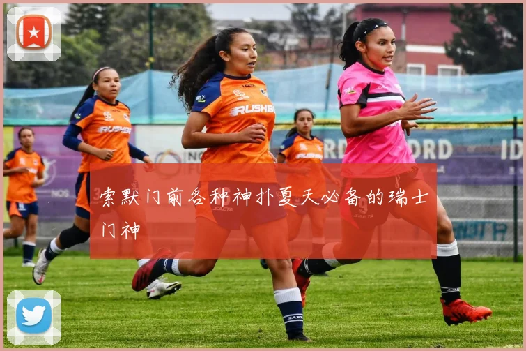 索默门前各种神扑夏天必备的瑞士门神