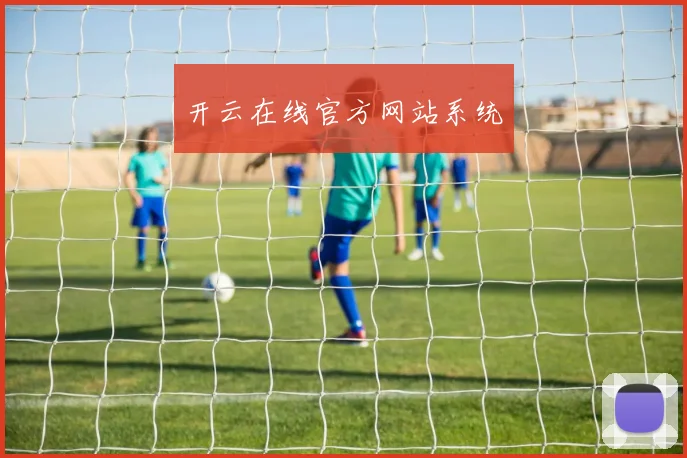 开云在线官方网站系统