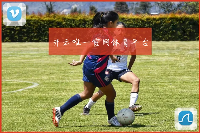 开云唯一官网体育平台
