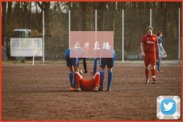 云开直播