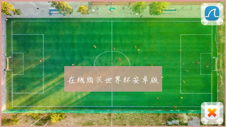 在线购买世界杯安卓版