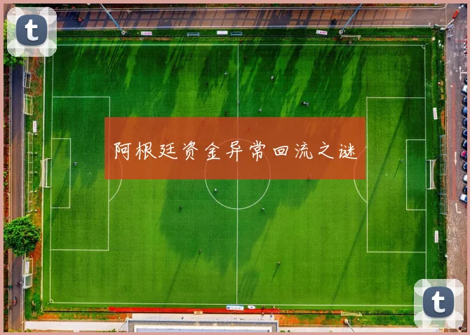 阿根廷资金异常回流之谜
