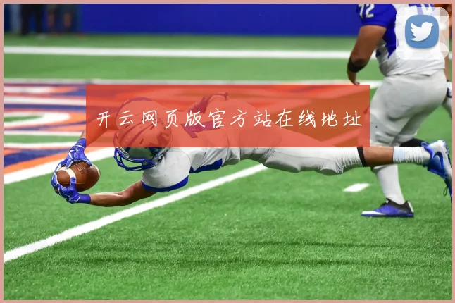 开云网页版官方站在线地址