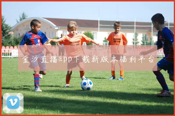 金沙直播app下载新版本福利平台