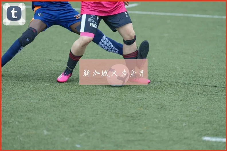 新加坡火力全开