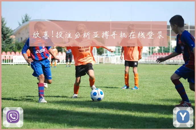 欣喜!投注分析亚搏手机在线登录