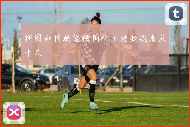 斯图加特狼堡德国杯主场激战看点十足 · 用户常问