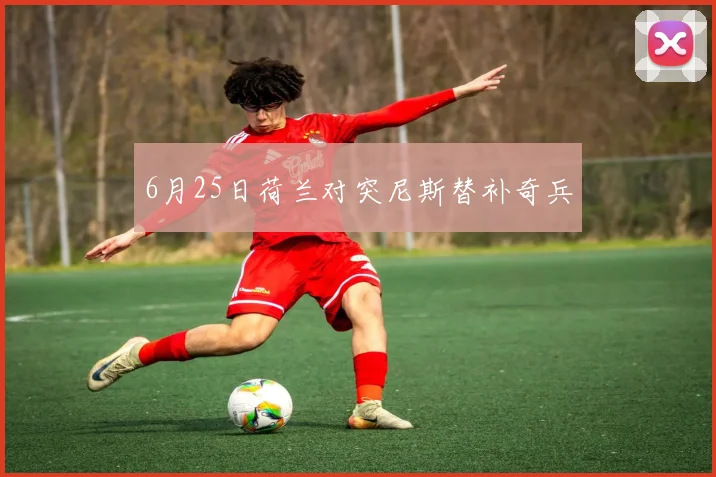 6月25日荷兰对突尼斯替补奇兵 — 详细说明