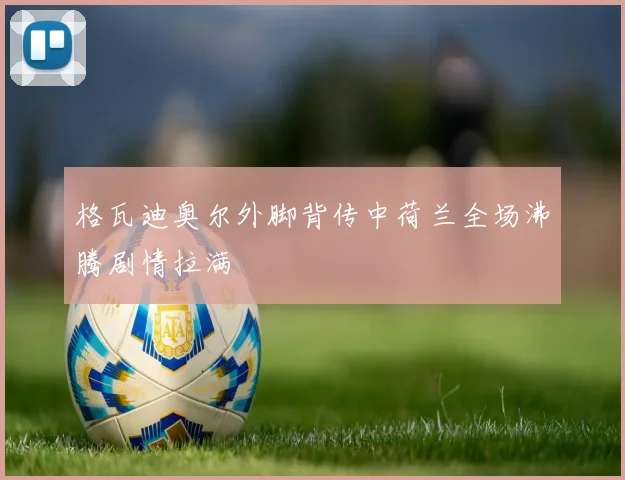格瓦迪奥尔外脚背传中荷兰全场沸腾剧情拉满 · 用户常问