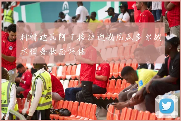 科特迪瓦阿丁格拉迎战厄瓜多尔战术任务状态评估 — 详细说明