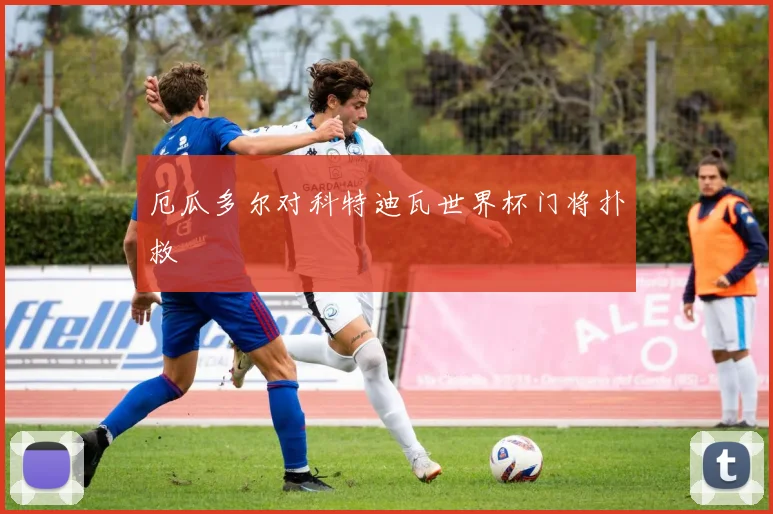 厄瓜多尔对科特迪瓦世界杯门将扑救