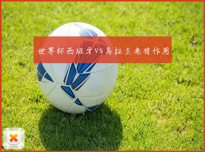 世界杯西班牙vs乌拉圭老将作用 — 详细说明