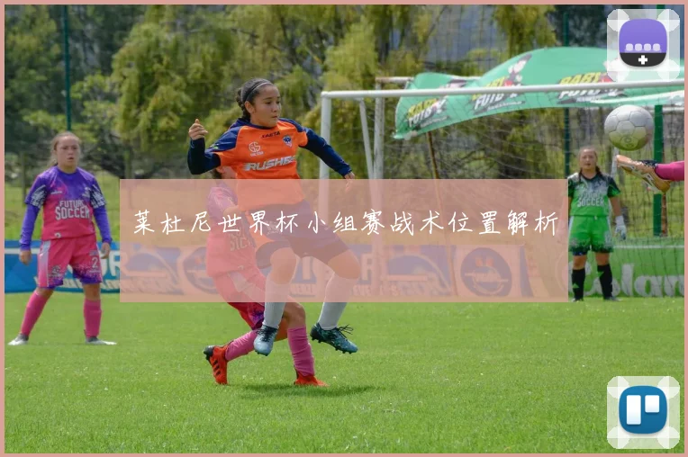 莱杜尼世界杯小组赛战术位置解析 — 详细说明