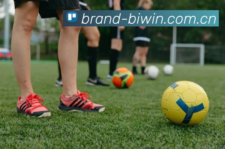 必赢体育（中国）官网入口-BwinSports平台生态图