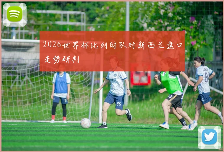 2026世界杯比利时队对新西兰盘口走势研判