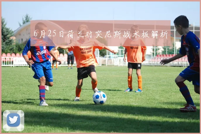 6月25日荷兰对突尼斯战术板解析