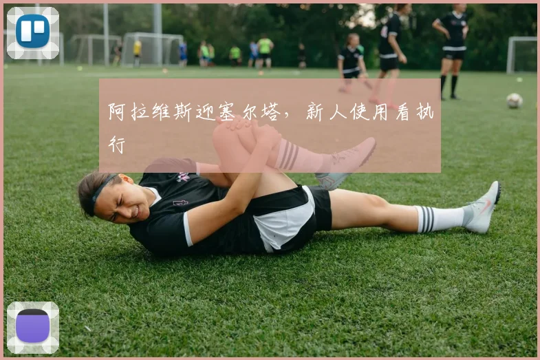 阿拉维斯迎塞尔塔，新人使用看执行